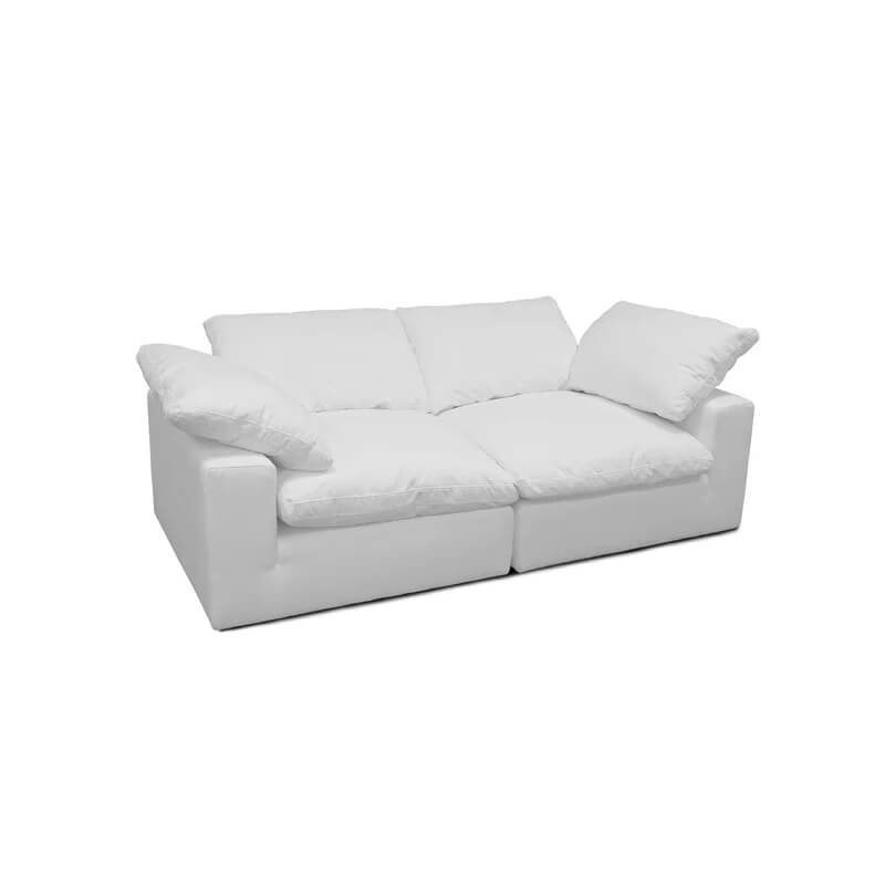 Modern Sofas Couches for Living Room, Loveseat Sofas & couches with Removable Sofa Cushion and Detachable Sofa Cover